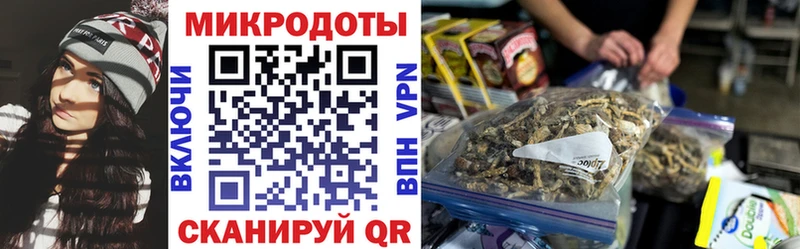 Галлюциногенные грибы MAGIC MUSHROOMS  Ессентуки 